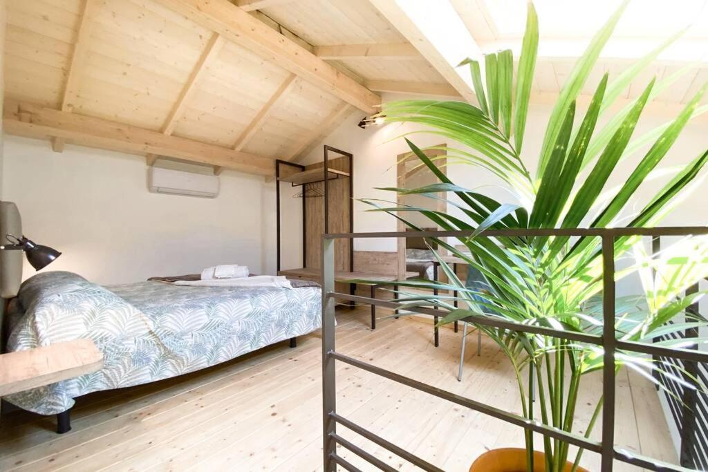 New Agriloft 4 Palms Clima, Giardino E Wi-Fi A 50 Mt Dal Mare Apartamento Bordighera Exterior foto